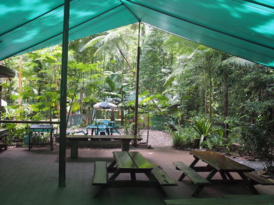 Daintree Crocodylus Crocs Cafe